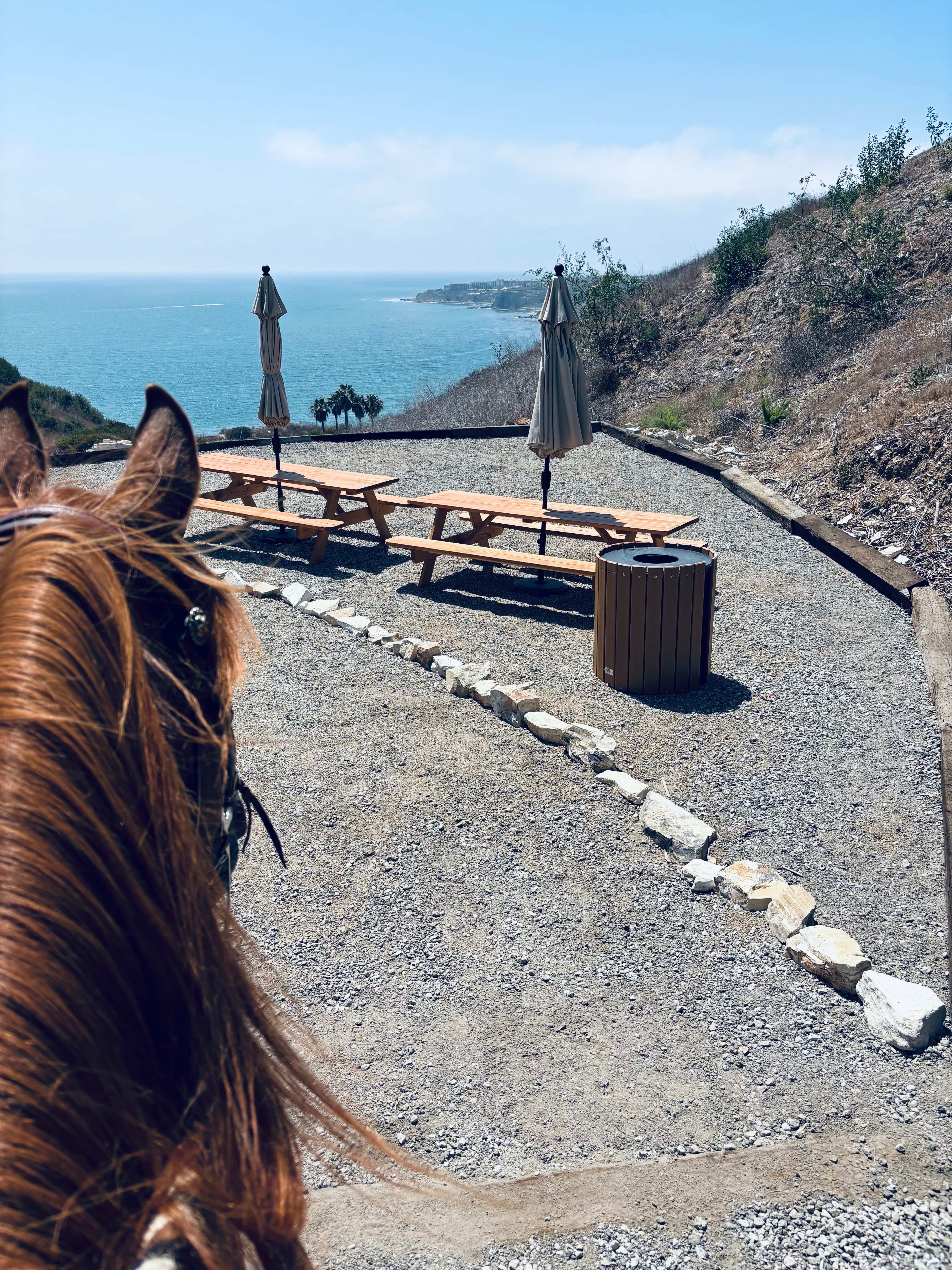 Equestrian training at Infinite Hill with ocean views