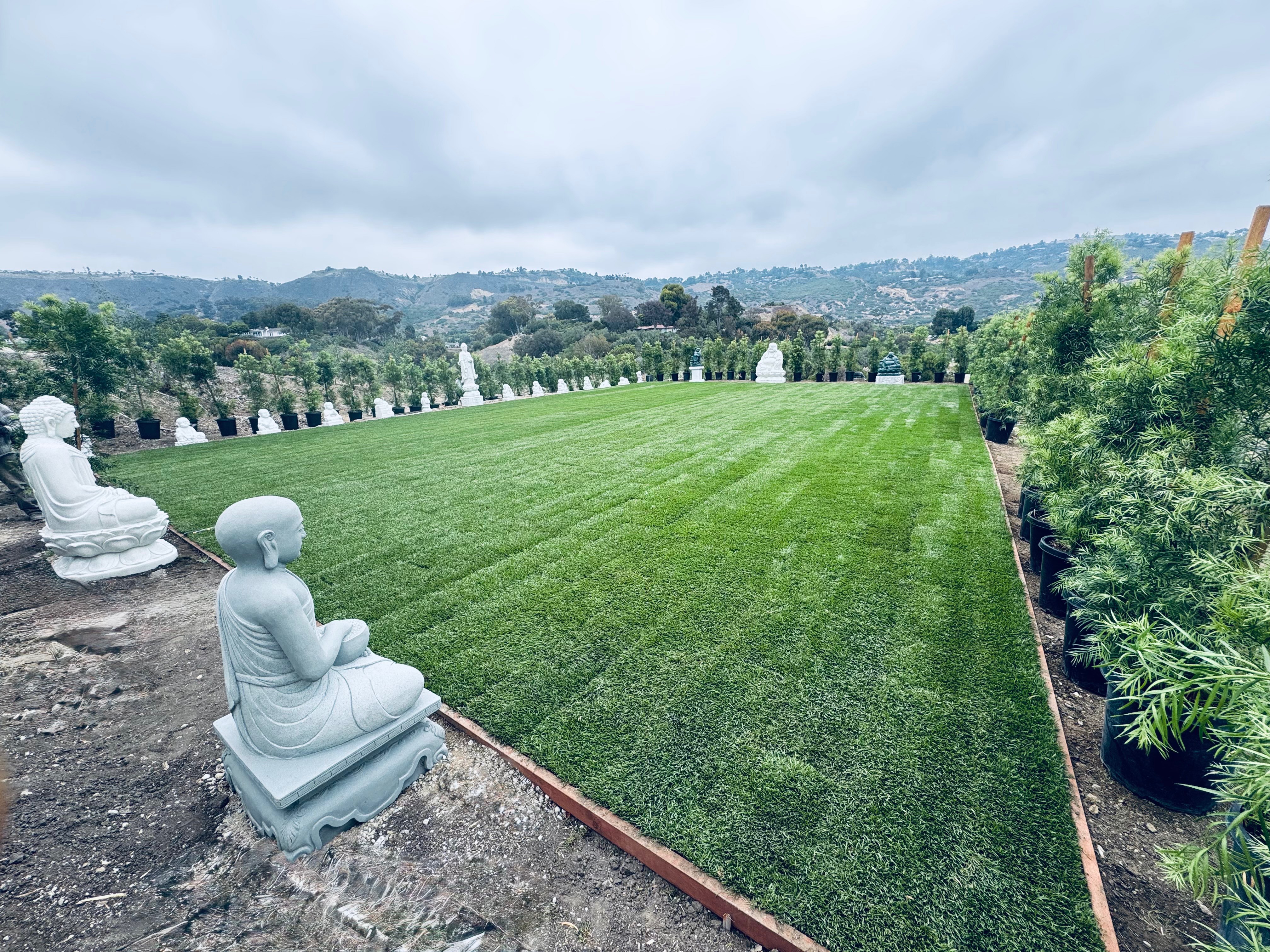 Ground-level view of The Lawn at Infinite Hill with Buddha statues and coastal backdrop