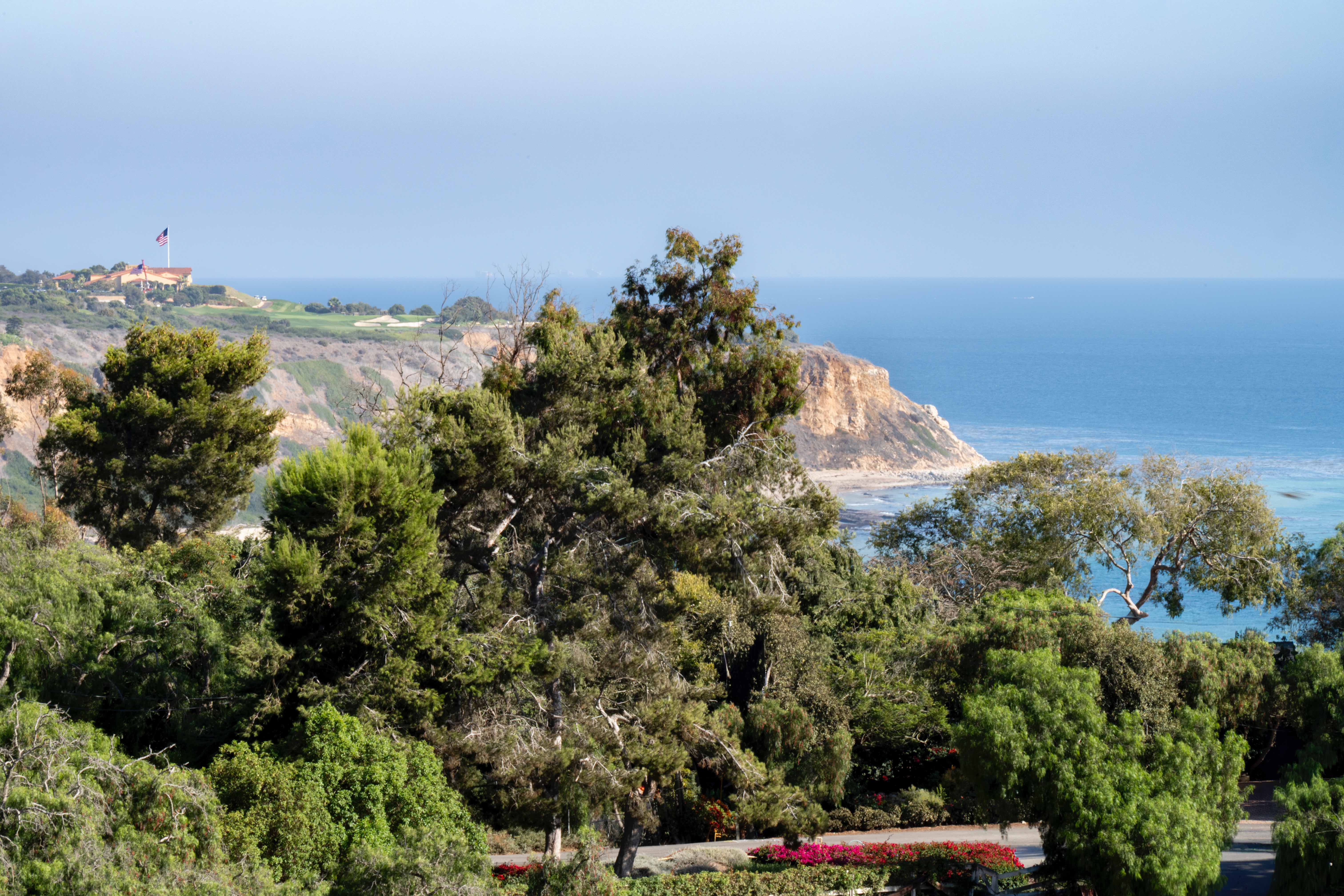 Lush landscape with mature trees and coastal cliffs with ocean backdrop