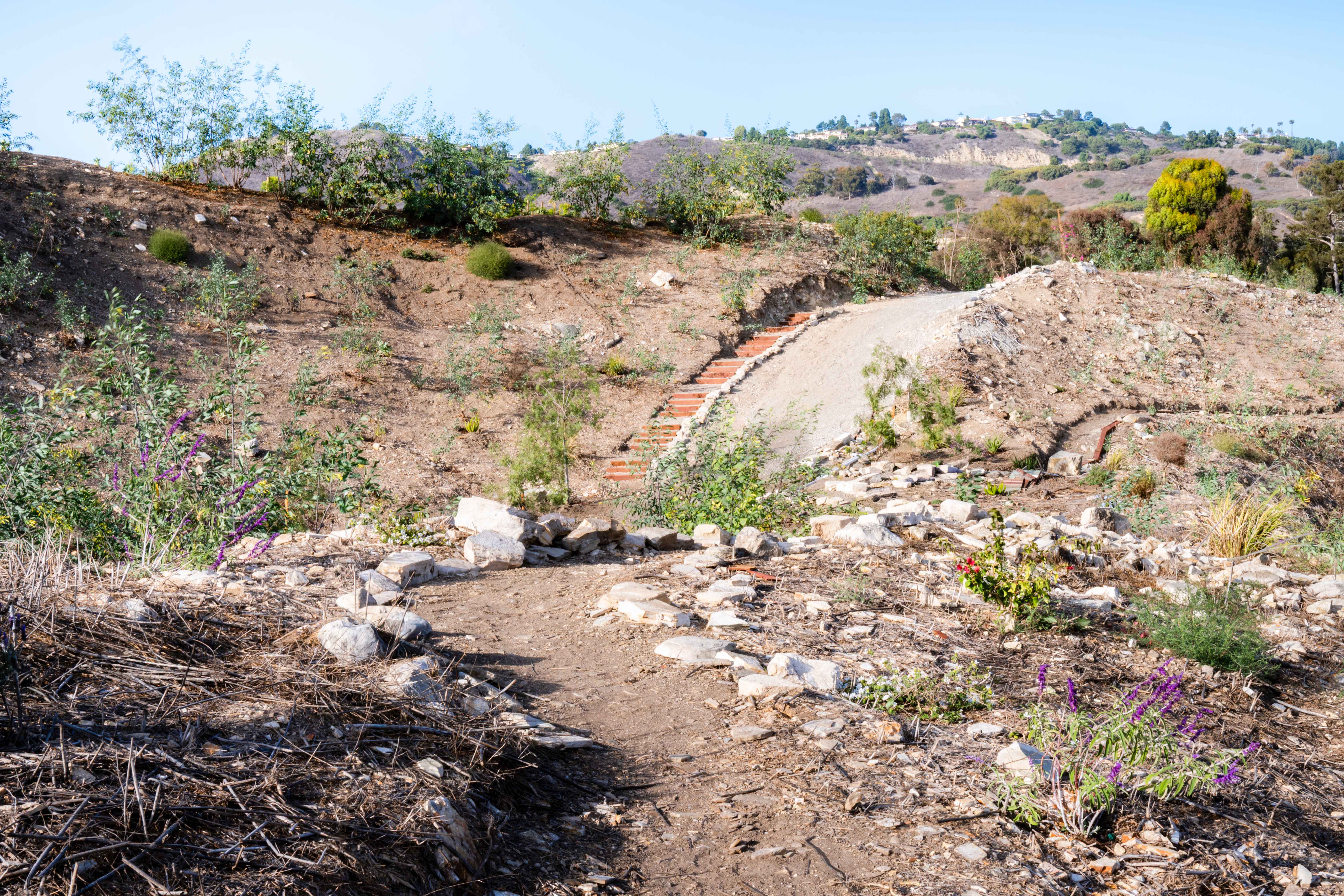 Winding dirt pathways through terraced hillside with white rock borders, terracotta steps, and purple wildflowers