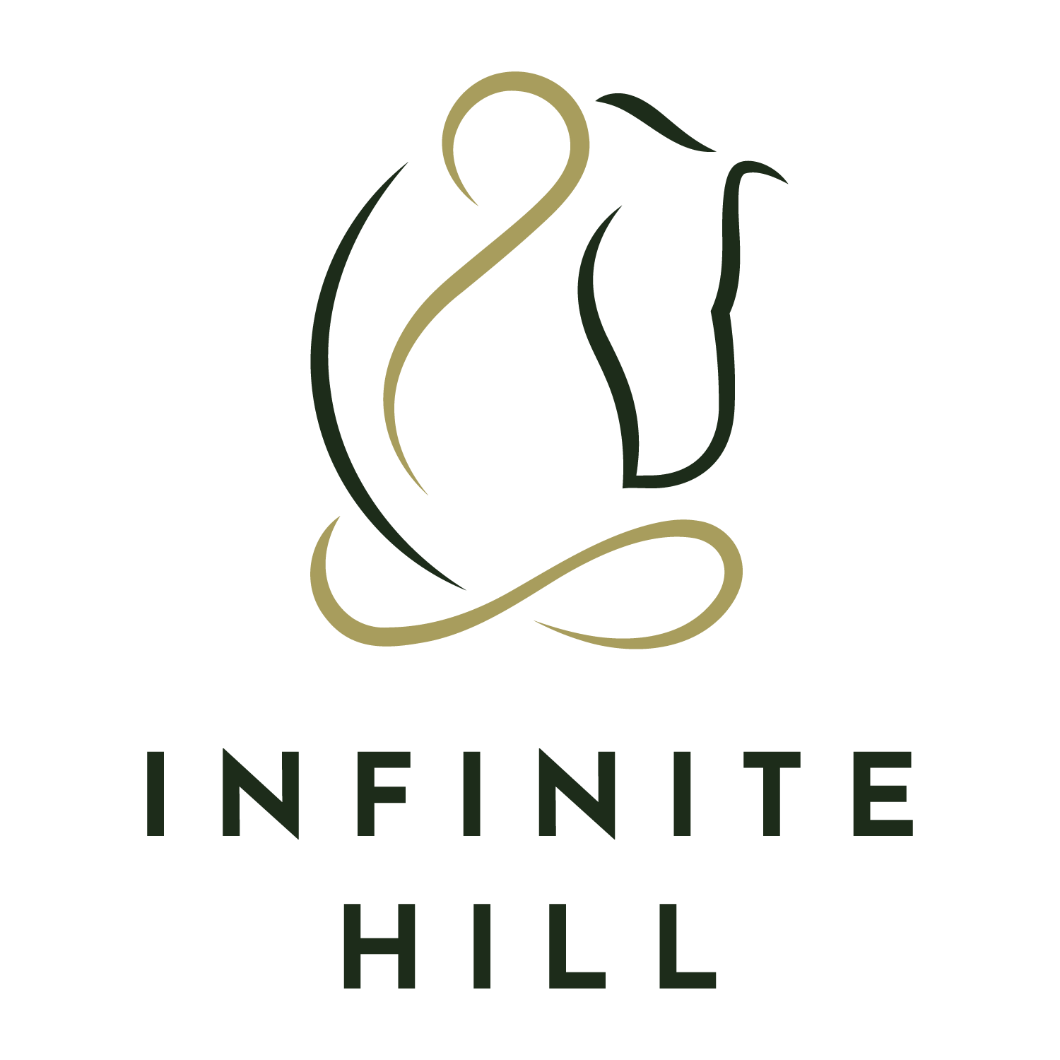 Infinite Hill